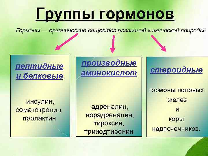 Группы гормонов Гормоны — органические вещества различной химической природы: пептидные и белковые инсулин, соматотропин,