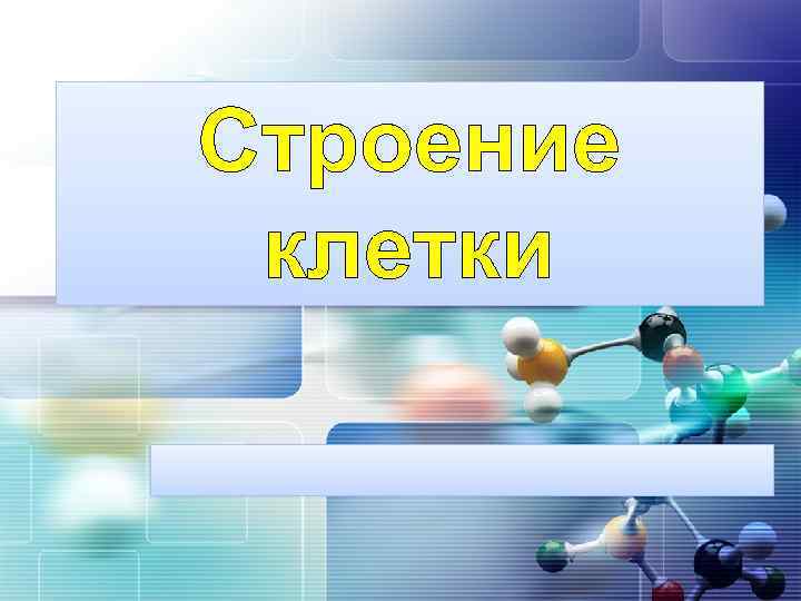 LOGO Строение клетки 