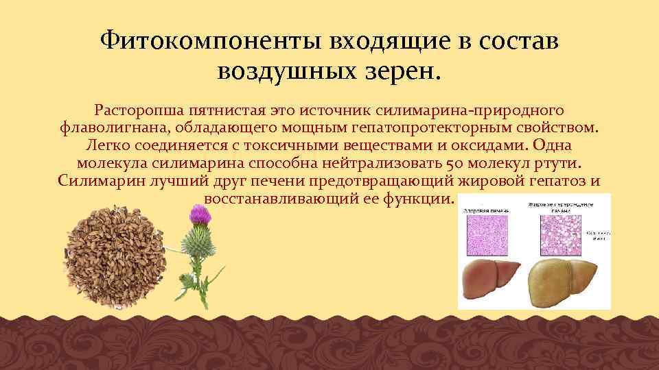 Фитокомпоненты входящие в состав воздушных зерен. Расторопша пятнистая это источник силимарина-природного флаволигнана, обладающего мощным