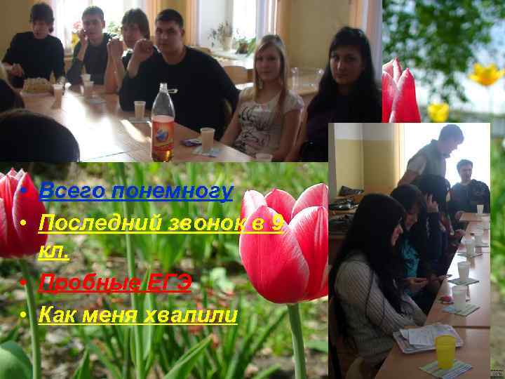  • Всего понемногу • Последний звонок в 9 кл. • Пробные ЕГЭ •