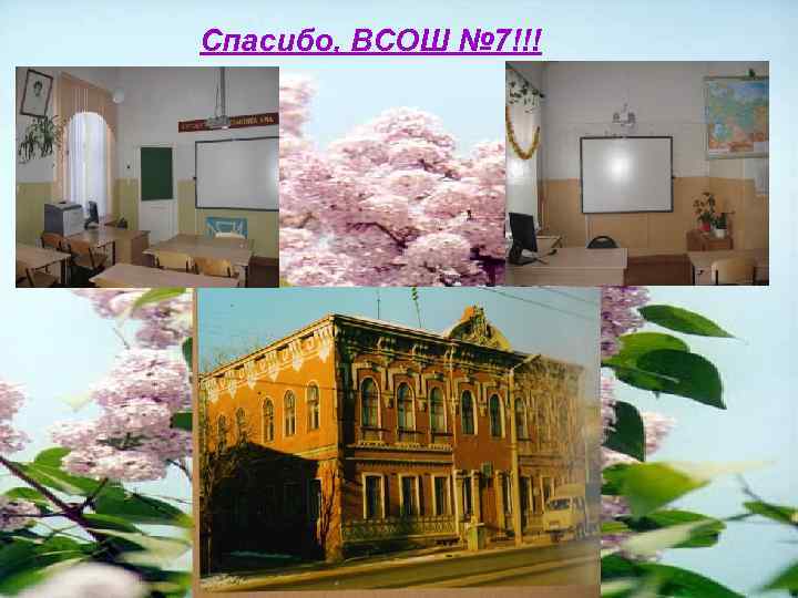 Спасибо, ВСОШ № 7!!! 