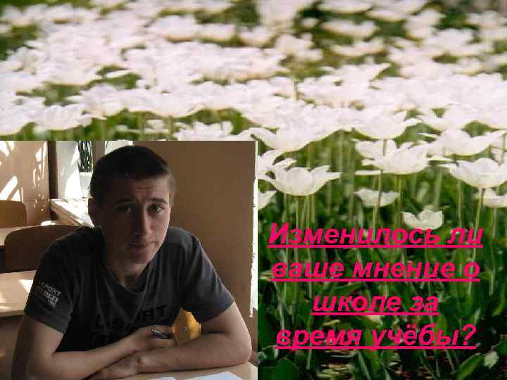 Изменилось ли ваше мнение о школе за время учёбы? 