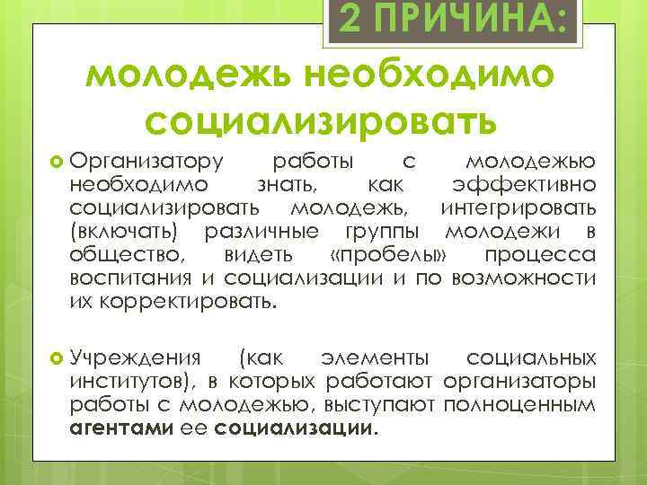 2 ПРИЧИНА: молодежь необходимо социализировать Организатору работы с молодежью необходимо знать, как эффективно социализировать