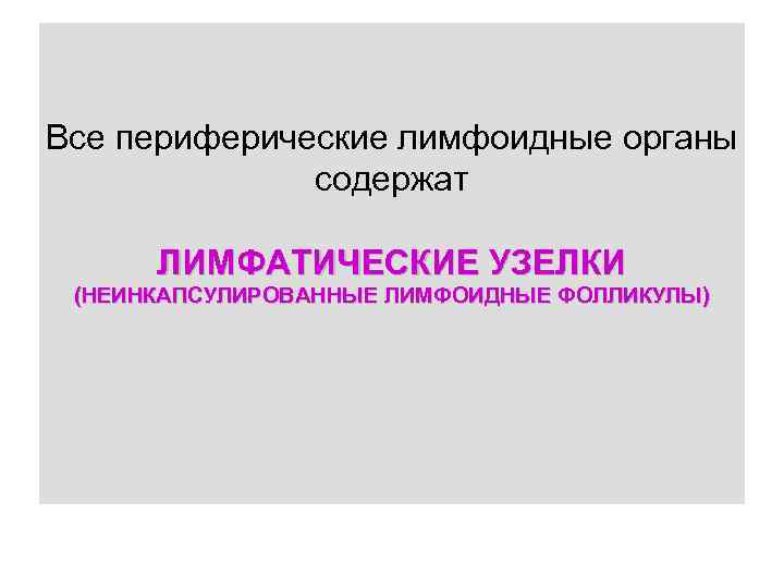 Все периферические лимфоидные органы содержат ЛИМФАТИЧЕСКИЕ УЗЕЛКИ (НЕИНКАПСУЛИРОВАННЫЕ ЛИМФОИДНЫЕ ФОЛЛИКУЛЫ) 