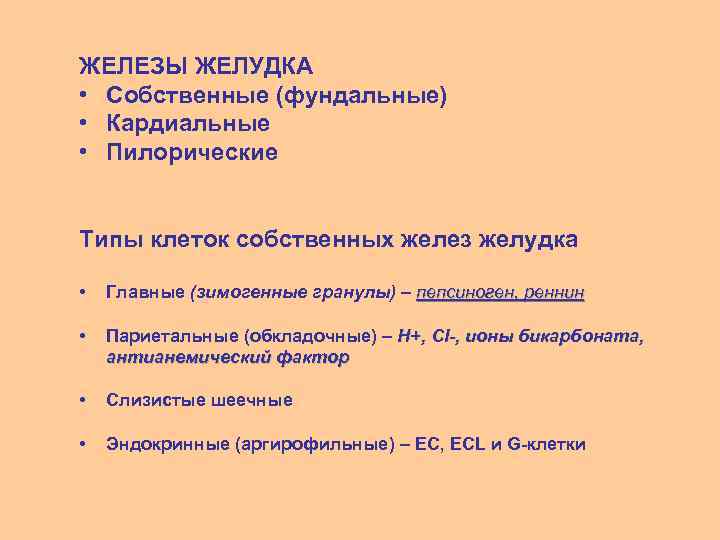 ЖЕЛЕЗЫ ЖЕЛУДКА • Собственные (фундальные) • Кардиальные • Пилорические Типы клеток собственных желез желудка