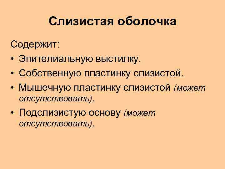 Слизистая оболочка Содержит: • Эпителиальную выстилку. • Собственную пластинку слизистой. • Мышечную пластинку слизистой