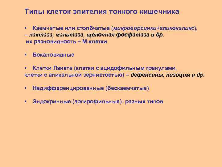 Типы клеток эпителия тонкого кишечника • Каемчатые или столбчатые (микроворсинки+гликокаликс), – лактаза, мальтаза, щелочная
