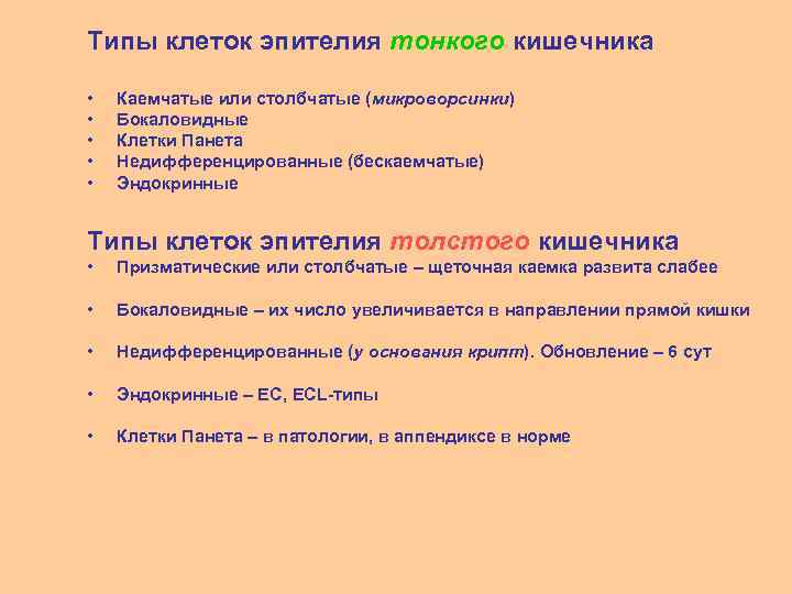 Типы клеток эпителия тонкого кишечника • • • Каемчатые или столбчатые (микроворсинки) Бокаловидные Клетки