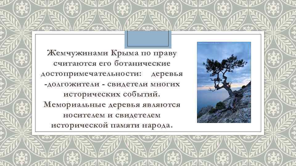 Жемчужинами Крыма по праву считаются его ботанические достопримечательности: деревья -долгожители - свидетели многих исторических