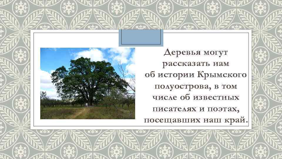 Деревья могут рассказать нам об истории Крымского полуострова, в том числе об известных писателях