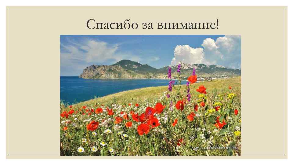 Спасибо за внимание! 