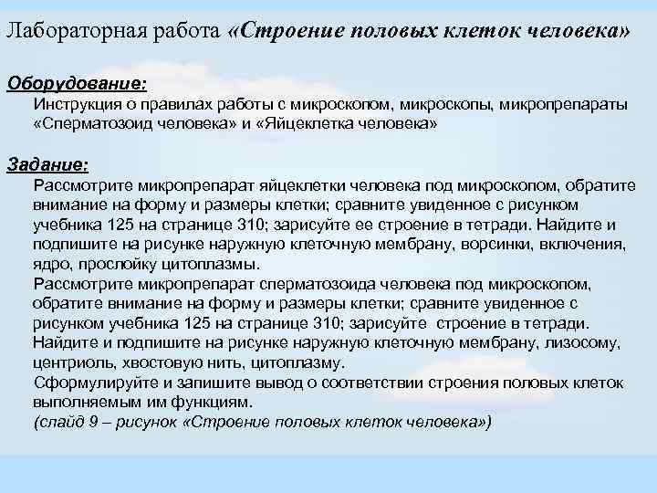 Лабораторная работа «Строение половых клеток человека» Оборудование: Инструкция о правилах работы с микроскопом, микроскопы,