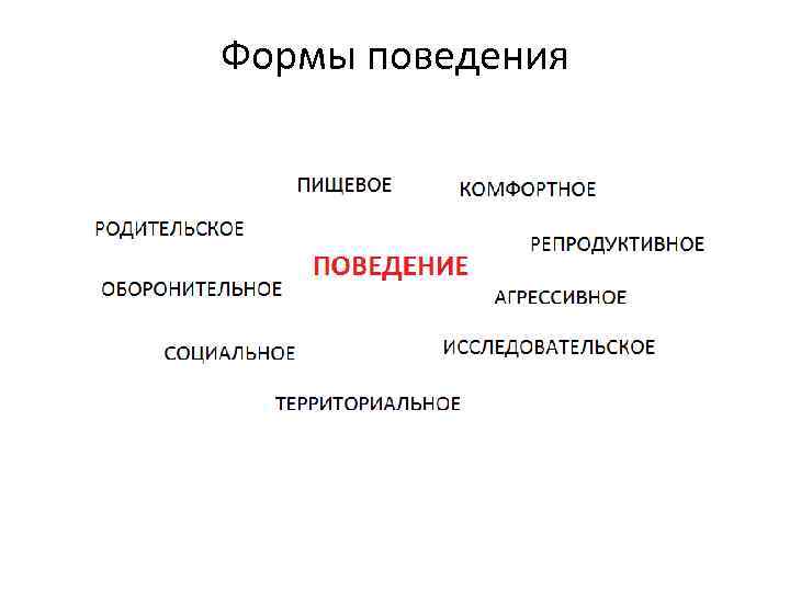 Формы поведения. Три основные формы поведения животных. Формы поведения животных психология. Формы поведения животных таблица.