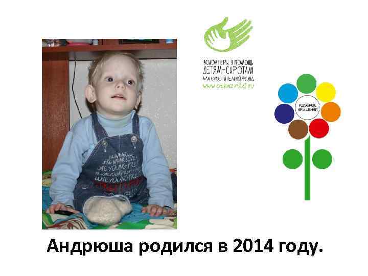 Андрюша родился в 2014 году. 