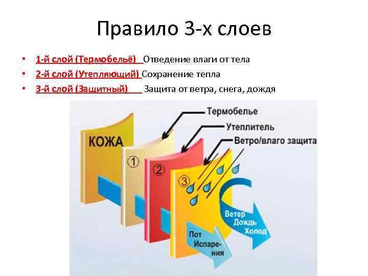 Правило 3 -х слоев • 1 -й слой (Термобельё) Отведение влаги от тела •