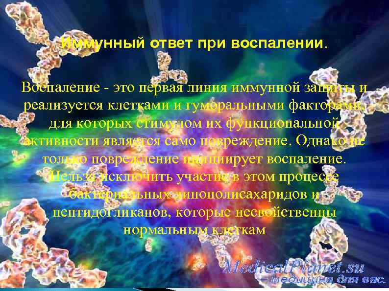 Иммунный ответ при воспалении. Воспаление - это первая линия иммунной защиты и реализуется клетками