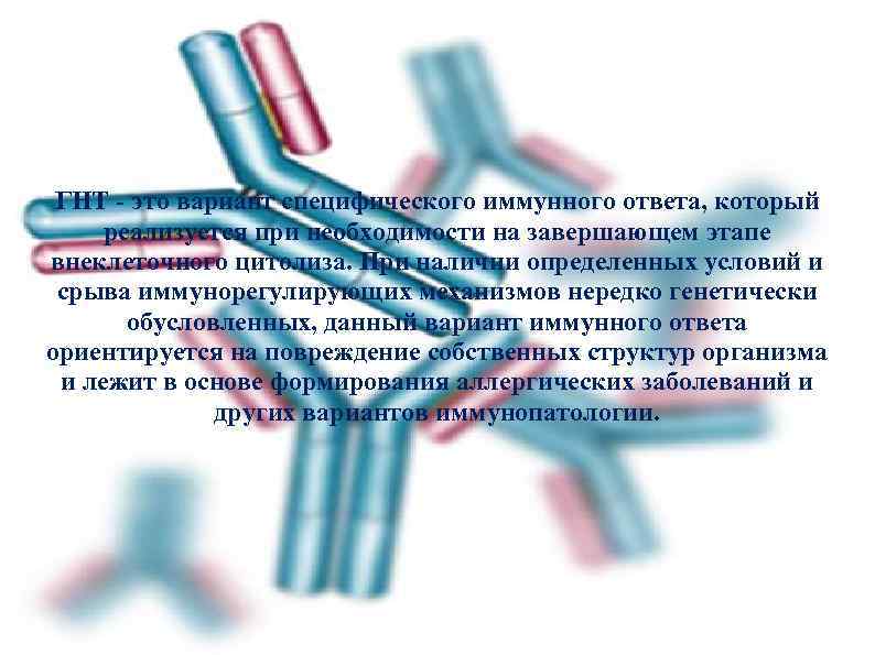 ГНТ - это вариант специфического иммунного ответа, который реализуется при необходимости на завершающем этапе