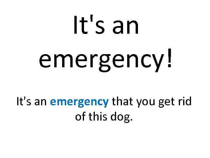 It's an emergency! It's an emergency that you get rid of this dog. 