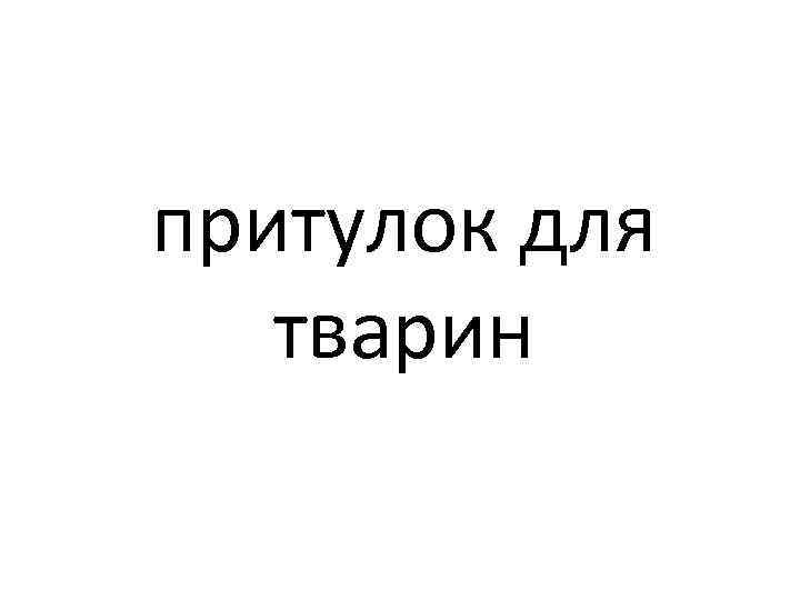 притулок для тварин 