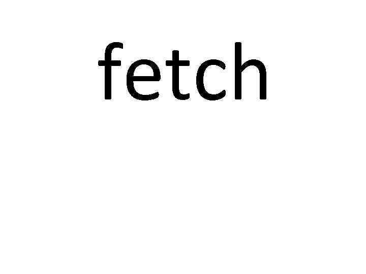 fetch 