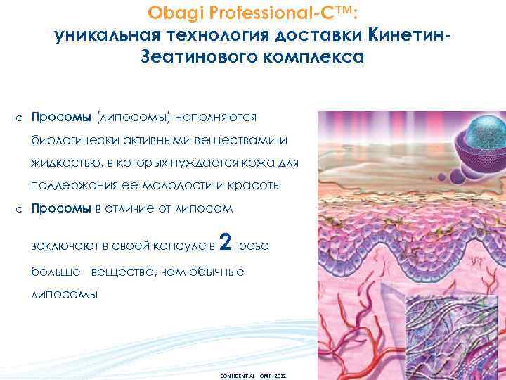 Obagi Professional-C™: уникальная технология доставки Кинетин. Зеатинового комплекса o Просомы (липосомы) наполняются биологически активными