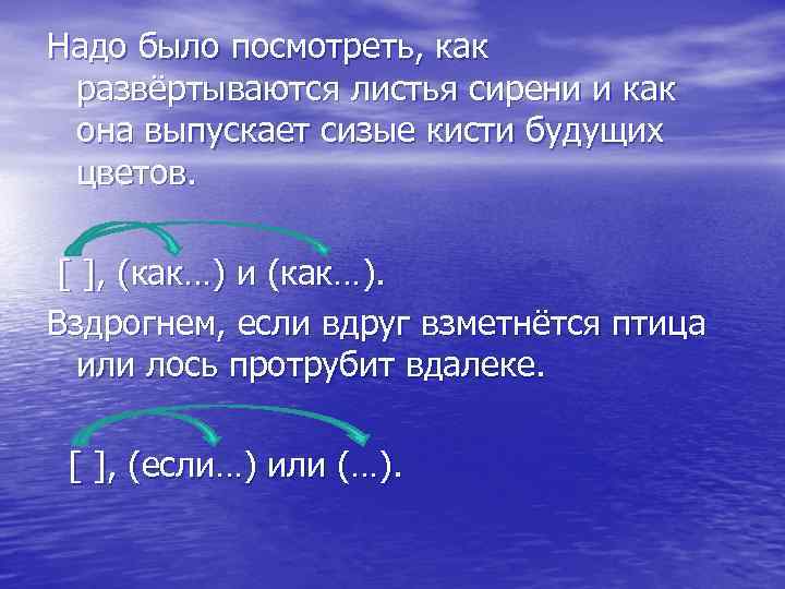 Надо было посмотреть, как развёртываются листья сирени и как она выпускает сизые кисти будущих
