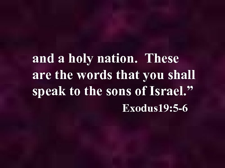 and a holy nation. These are the words that you shall speak to the