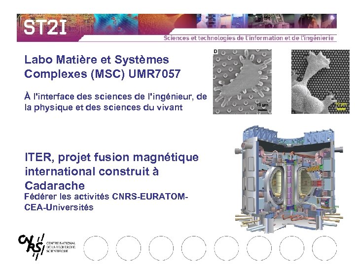 Labo Matière et Systèmes Complexes (MSC) UMR 7057 À l'interface des sciences de l'ingénieur,