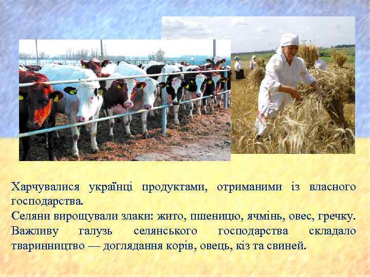 Харчувалися українці продуктами, отриманими із власного господарства. Селяни вирощували злаки: жито, пшеницю, ячмінь, овес,
