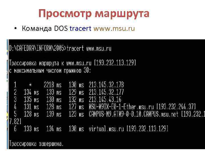 Просмотр маршрута • Команда DOS tracert www. msu. ru 
