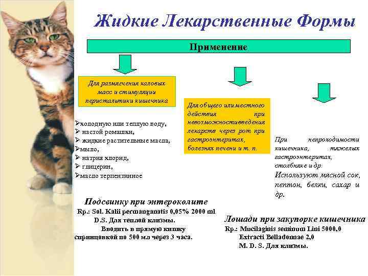 Жидкие Лекарственные Формы Применение Для размягчения каловых масс и стимуляции перистальтики кишечника Øхолодную или