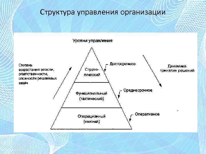 Структура управления организации 