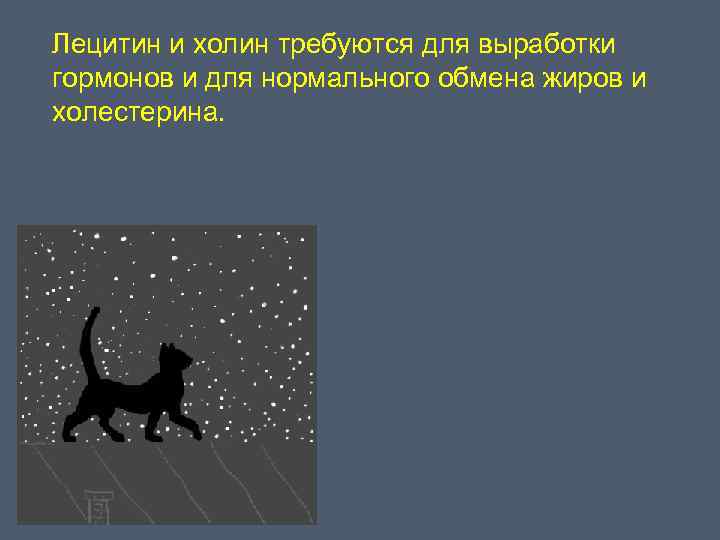 Лецитин и холин требуются для выработки гормонов и для нормального обмена жиров и холестерина.