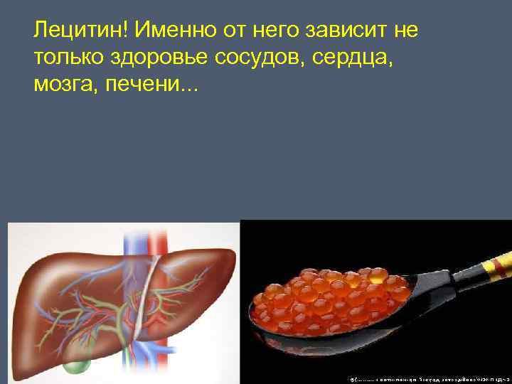 Лецитин! Именно от него зависит не только здоровье сосудов, сердца, мозга, печени. . .