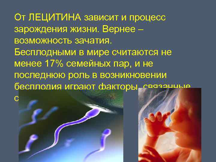 От ЛЕЦИТИНА зависит и процесс зарождения жизни. Вернее – возможность зачатия. Бесплодными в мире