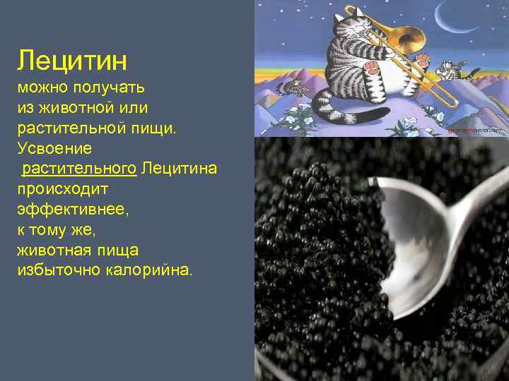 Лецитин можно получать из животной или растительной пищи. Усвоение растительного Лецитина происходит эффективнее, к
