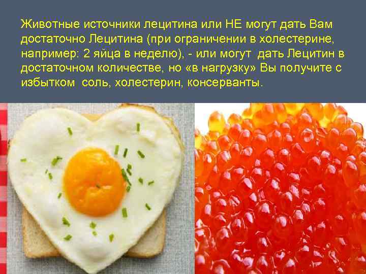Животные источники лецитина или НЕ могут дать Вам достаточно Лецитина (при ограничении в холестерине,