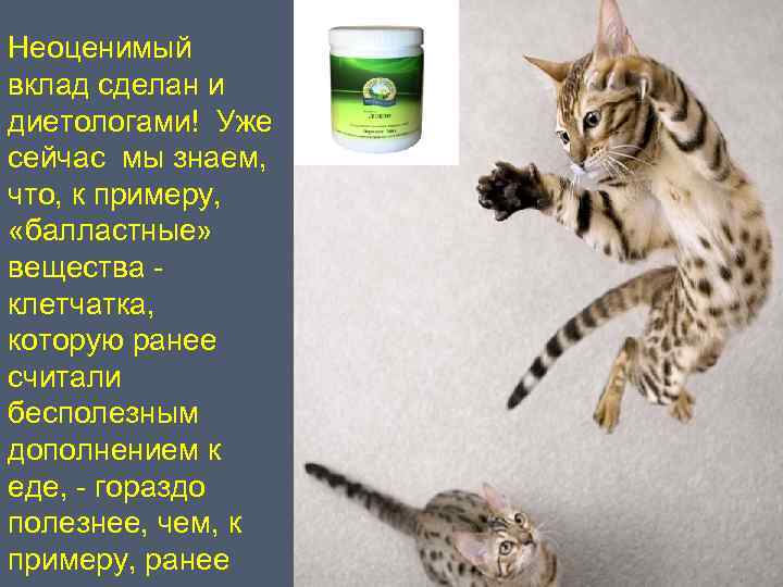 Неоценимый вклад сделан и диетологами! Уже сейчас мы знаем, что, к примеру, «балластные» вещества