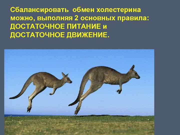 Сбалансировать обмен холестерина можно, выполняя 2 основных правила: ДОСТАТОЧНОЕ ПИТАНИЕ и ДОСТАТОЧНОЕ ДВИЖЕНИЕ. 