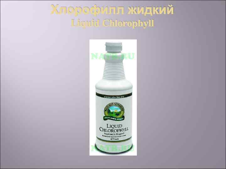 Хлорофилл жидкий Liquid Chlorophyll 