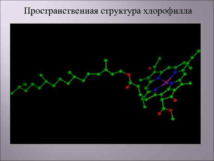 Пространственная структура хлорофилла 