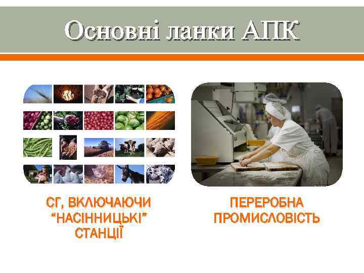 Основні ланки АПК СГ, ВКЛЮЧАЮЧИ “НАСІННИЦЬКІ” СТАНЦІЇ ПЕРЕРОБНА ПРОМИСЛОВІСТЬ 