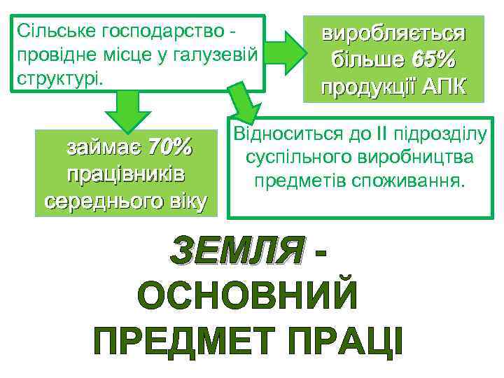 Сільське господарство - провідне місце у галузевій структурі. займає 70% працівників середнього віку виробляється