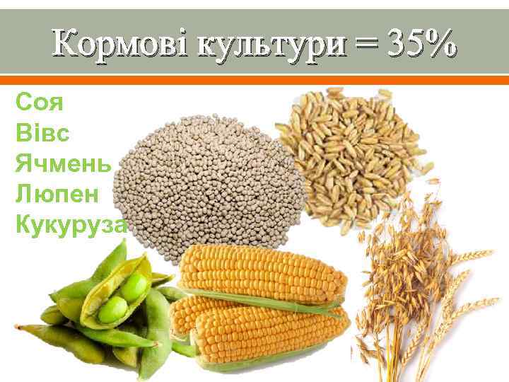 Кормові культури = 35% Соя Вівс Ячмень Люпен Кукуруза 