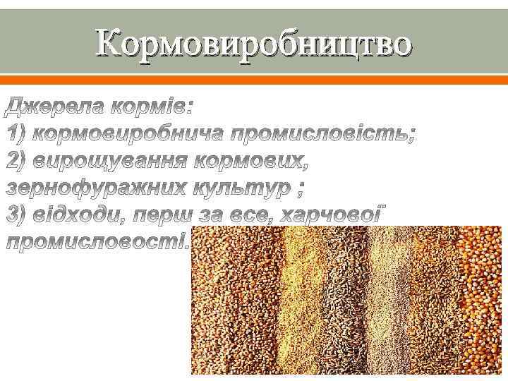 Кормовиробництво 