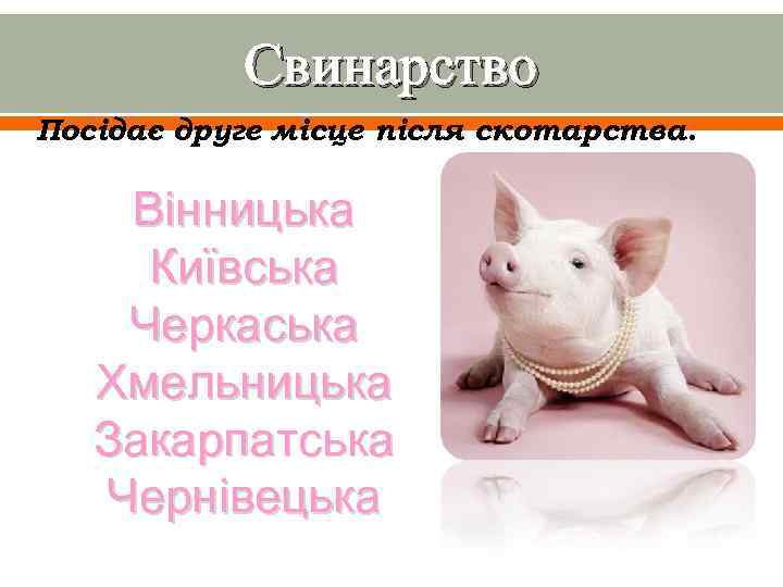Свинарство Посідає друге місце після скотарства. Вінницька Київська Черкаська Хмельницька Закарпатська Чернівецька 