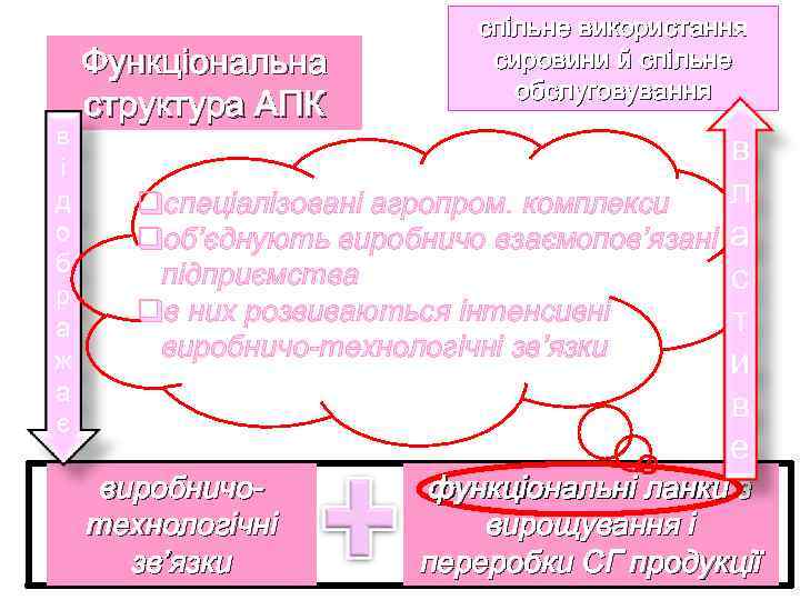 в і д о б р а ж а є Функціональна структура АПК спільне