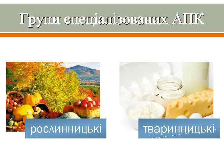 Групи спеціалізованих АПК рослинницькі тваринницькі 