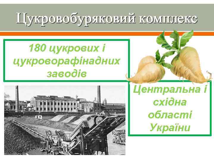 Цукровобуряковий комплекс 180 цукрових і цукроворафінадних заводів Центральна і східна області України 
