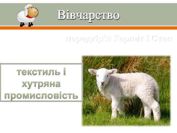 Вівчарство передгір’я Карпат і Степ текстиль і хутряна промисловість 